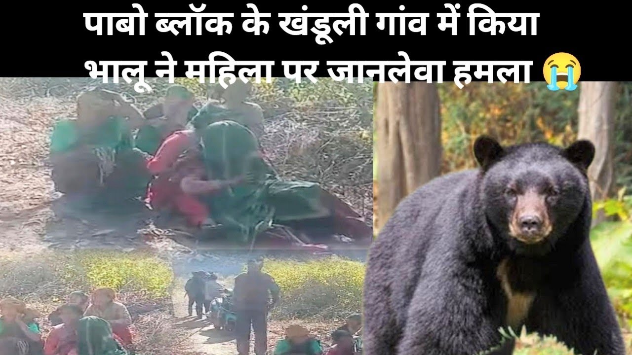 पाबो ब्लॉक के खंडुली गांव में किया भालू ने महिला पर जानलेवा हमला !!😭@meenuvlogs25 