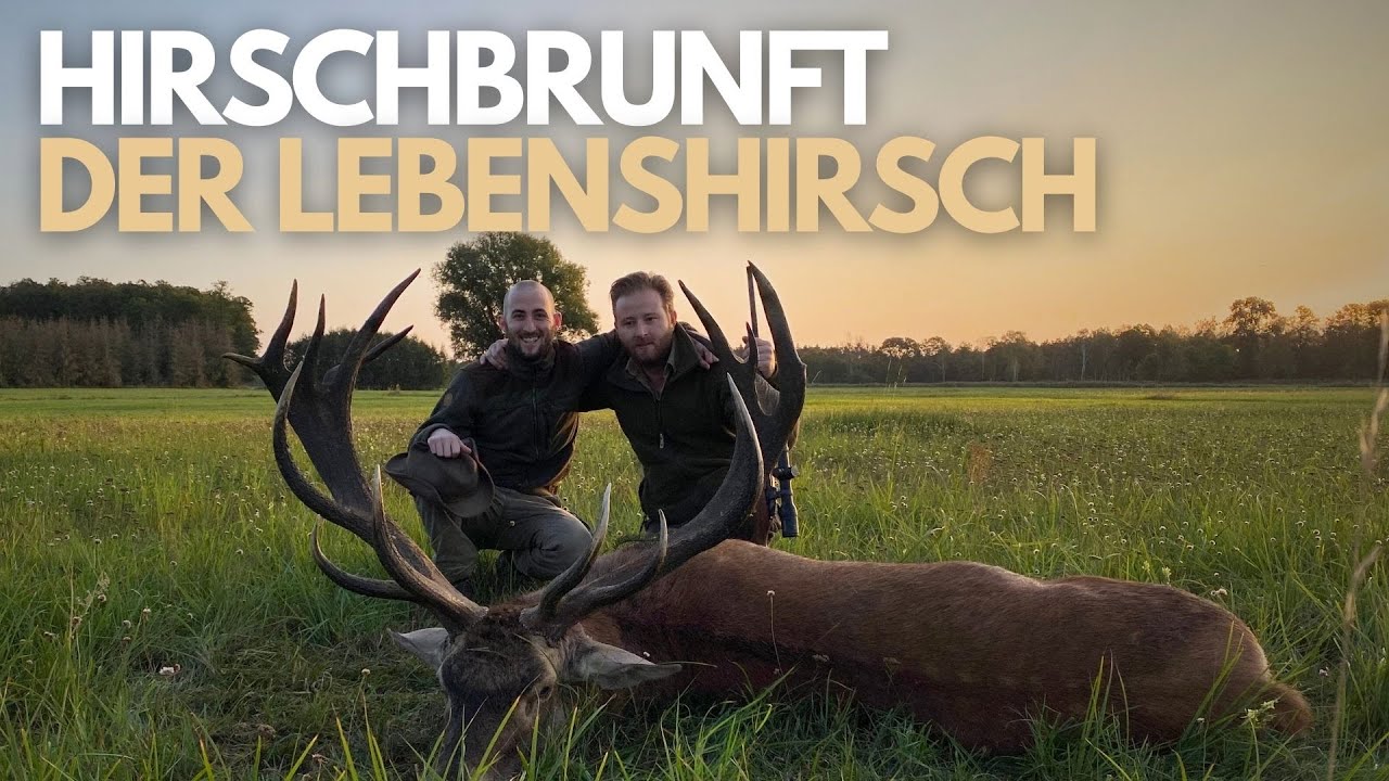 Hirschbrunft in Polen I Goldmedaillen Lebenshirsch I Hunt on Demand Free Episode