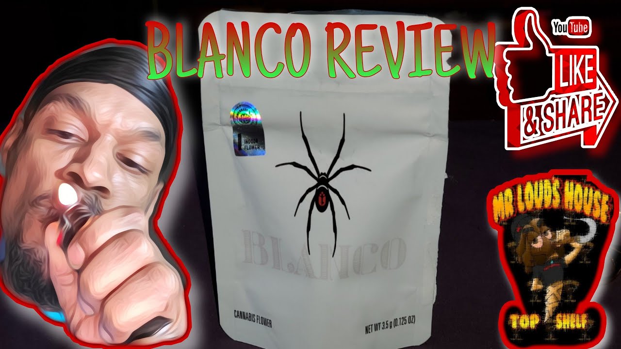 Cookies/Lemonade Blanco Strain Review By Way Of True Wellness Dispensary In Maryland