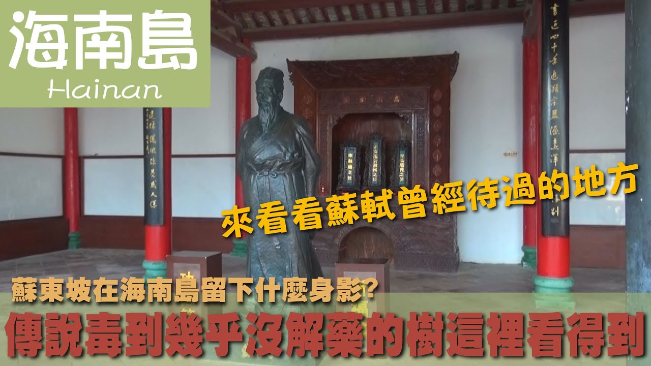 【海南島 Hainan】蘇東坡在海南島留下什麼身影?傳說毒到幾乎沒解藥的樹這裡看得到｜火山｜見血封喉樹｜中國