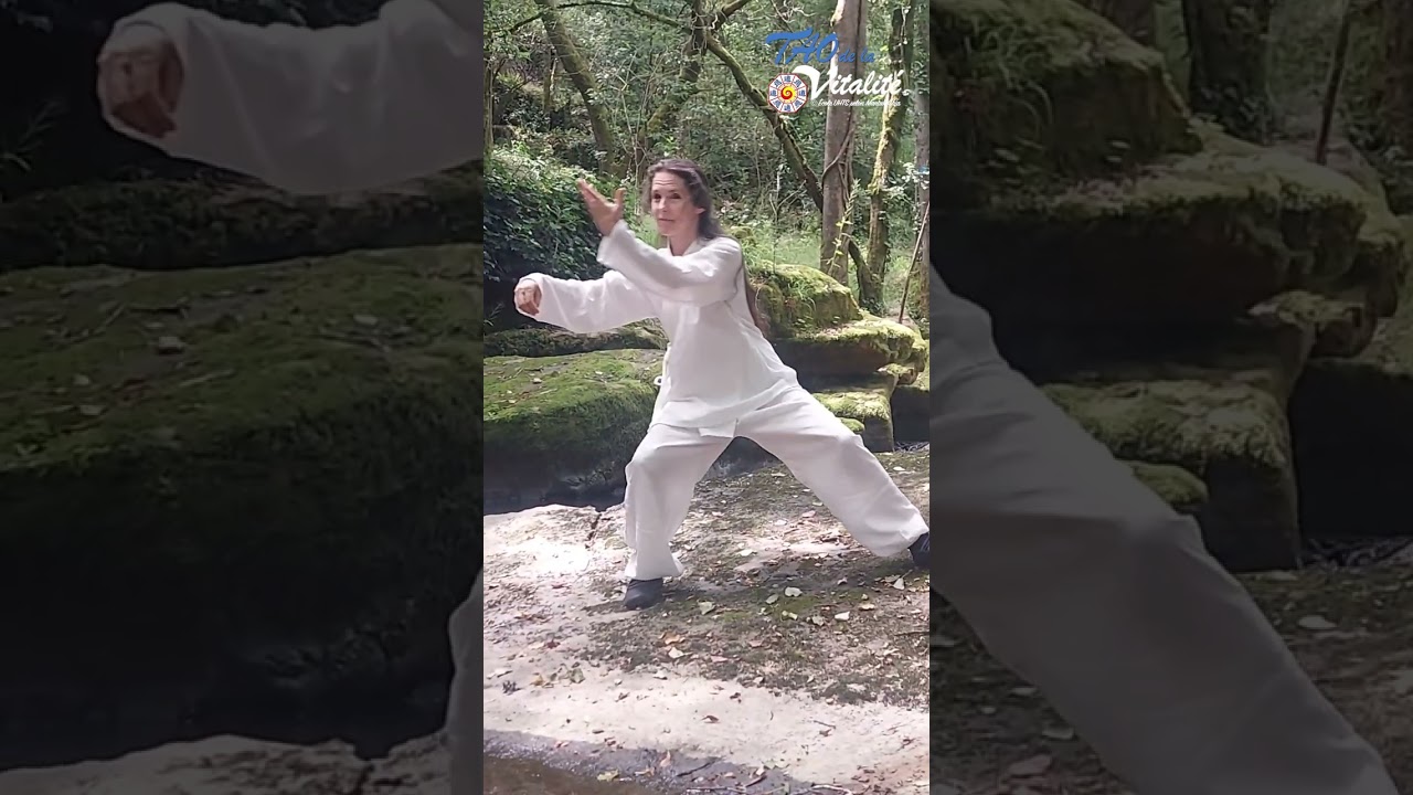 RETRAITE ÉTÉ / LE NEI GONG DES ÉLÉMENTS
AVEC UN MASTER CLASS EXCEPTIONNEL
ENSEIGNÉ PAR MAÎTRE ZHANG