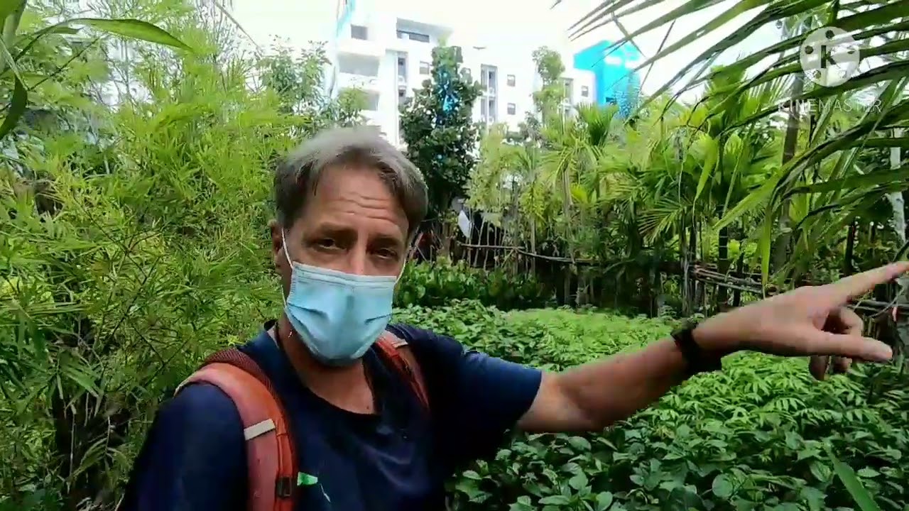 A Garden Oasis in the City (Mae Sot, Thailand)