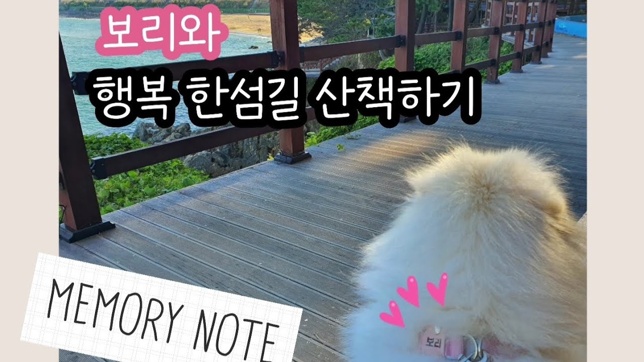 [보리 Vlog] 동해시 행복 한섬길 산책하기