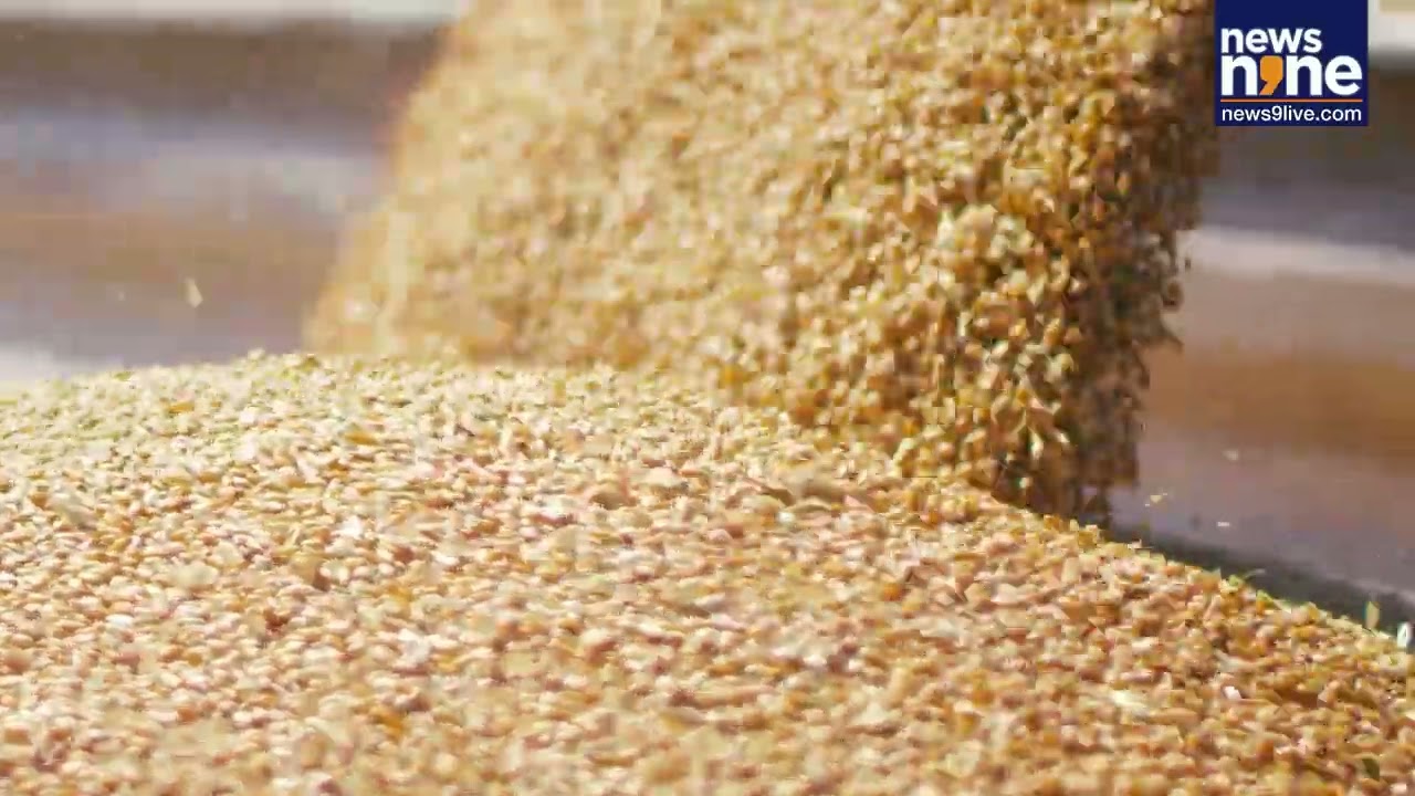 What is GDP? How India Measures Growth | Base Year Revision Explained | India Economy 2026