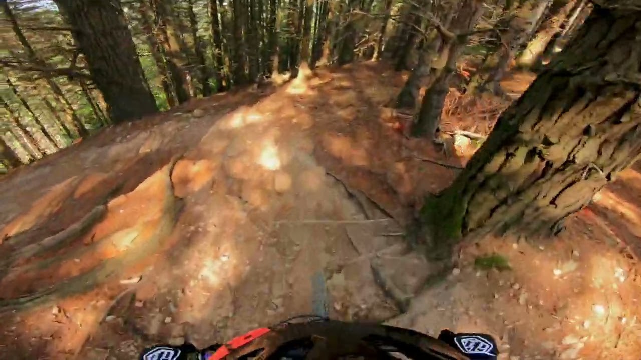 Djouce MTB Trails. Dutch Gold