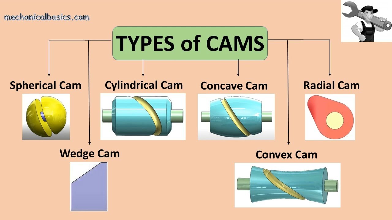 Different Types of Cams and Followers -  Working of Types of Cams and Followers - Mechanical Basics