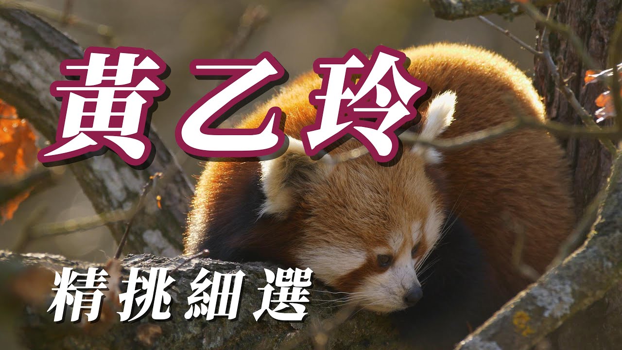 （黃乙玲）朋友敲黃乙玲。（分享了謝謝朋友)😝😝😝😝🤓🤓