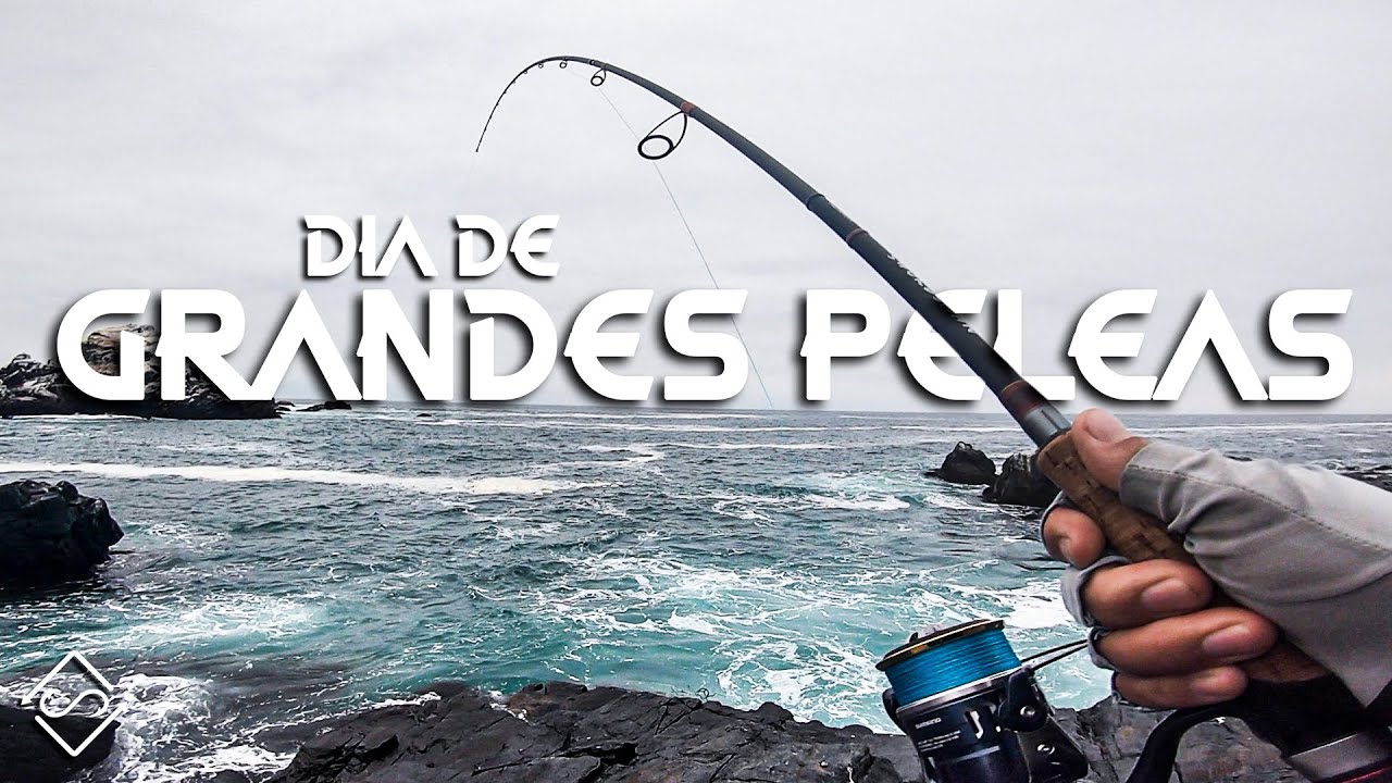 Día de GRANDES PELEAS - HardRock Fishing MH