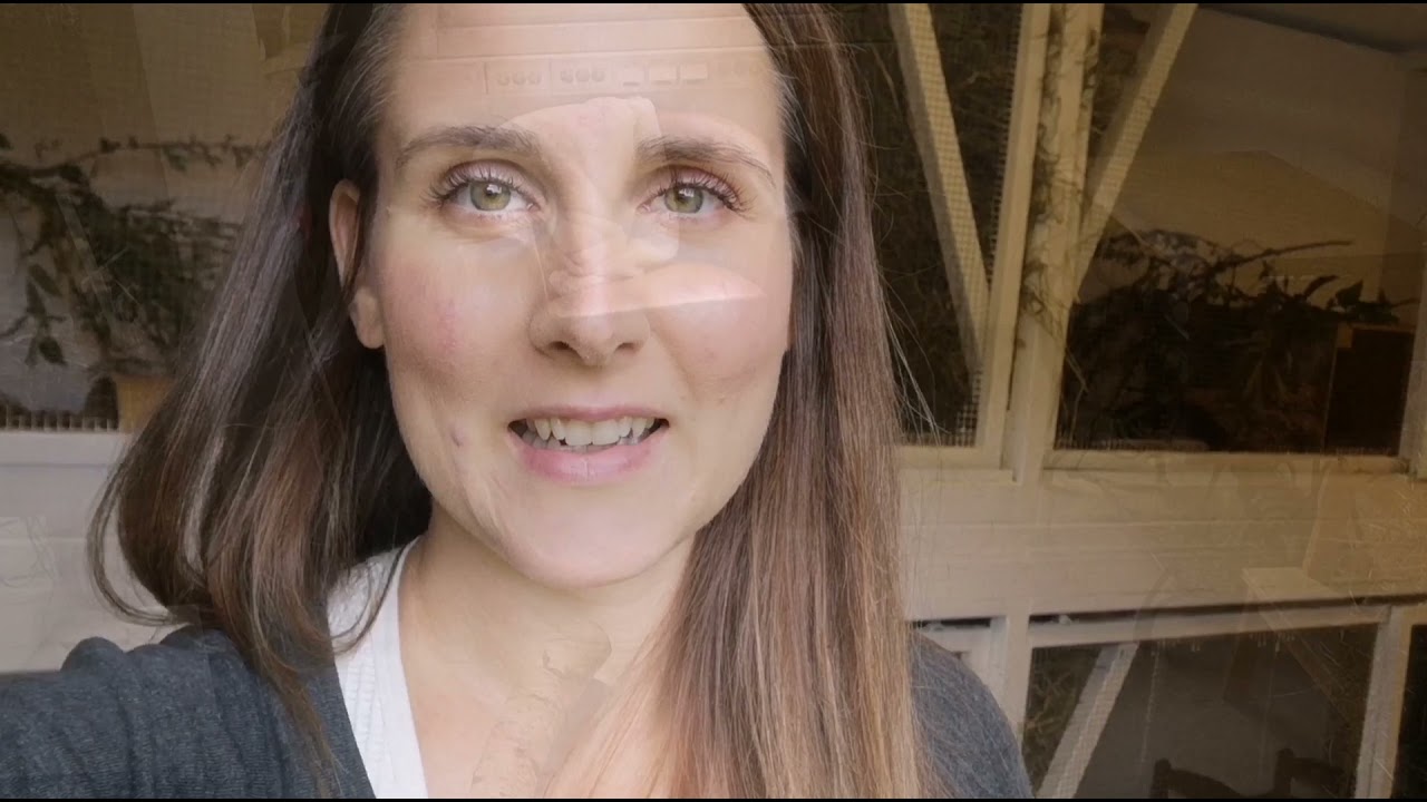Kaningårdsbesök hos Linda Pålsson.