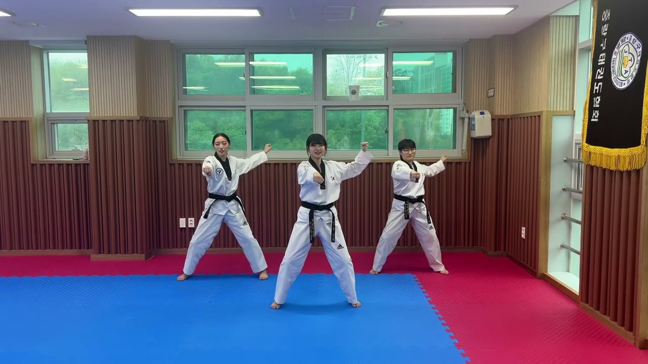 고민중독 태권체조