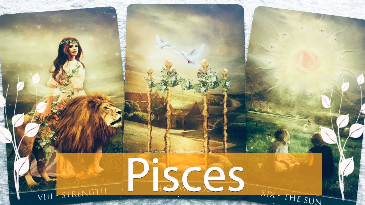 Pisces they're sure about pursuing you. Be patient, they need space