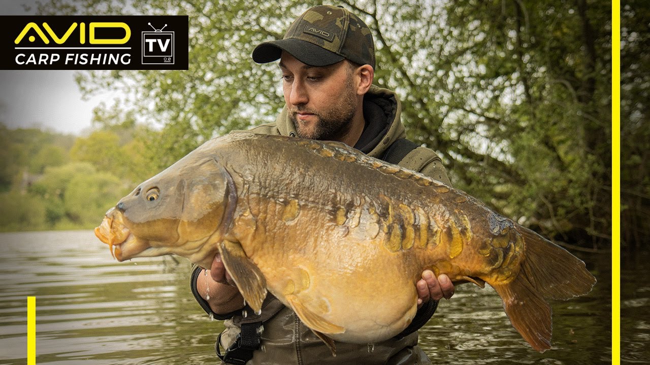 LAC DE BARRAGE EN BRETAGNE | Carpes sauvages au programme