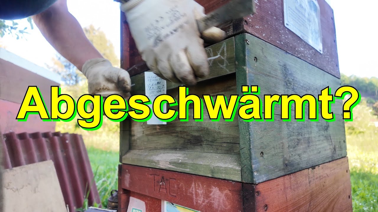 Abgeschwärmt? #wirmachendas
