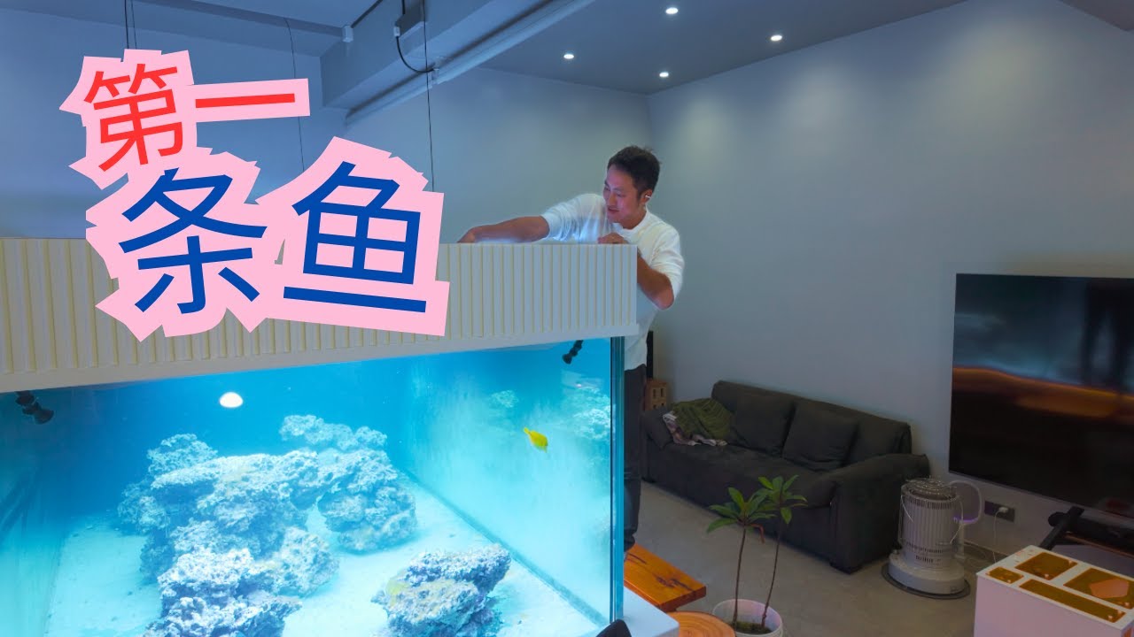 我为水哥10000L海缸下了第一条鱼！