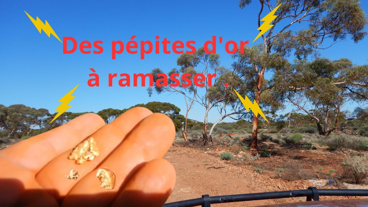 Gold, Or, &ccedil;a caille ce matin, on trouve de l'or, &ccedil;a r&eacute;chauffe #oztonor #golddigger #gold #or