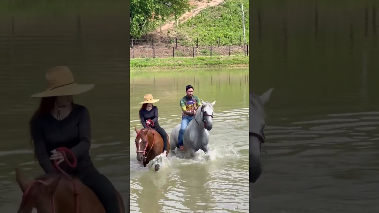 Entrando na lagoa a cavalo #aruivadaro&ccedil;a #vlog #ro&ccedil;a #caipira