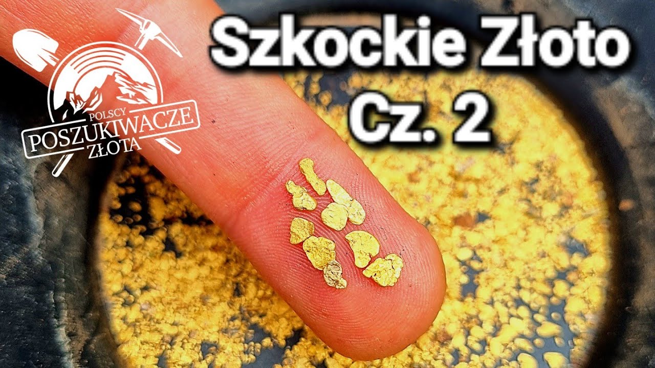 Szkockie Złoto Cz. 2