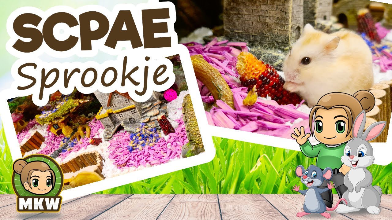 Hamsterscaping in sprookjes thema