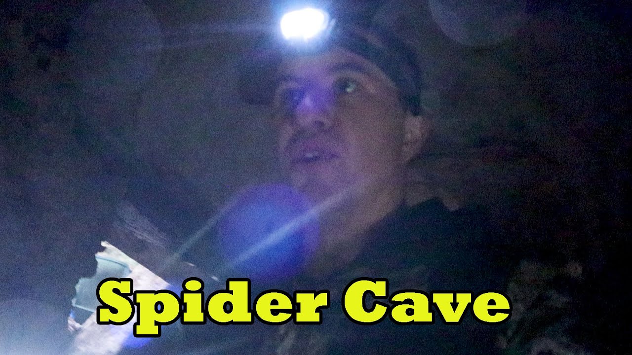 Hidden tunnels connected to a castle in the woods | Huge spiders