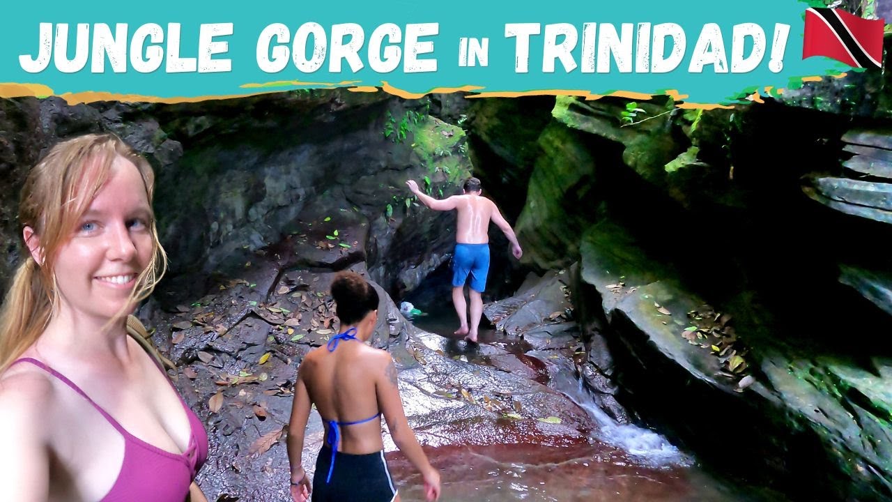 Trek Trinidad's Hidden Jungle Gorge and Waterfalls! | Near Port of Spain, Trinidad & Tobago