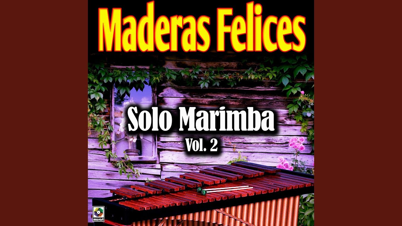 La Tortuga Del Arenal