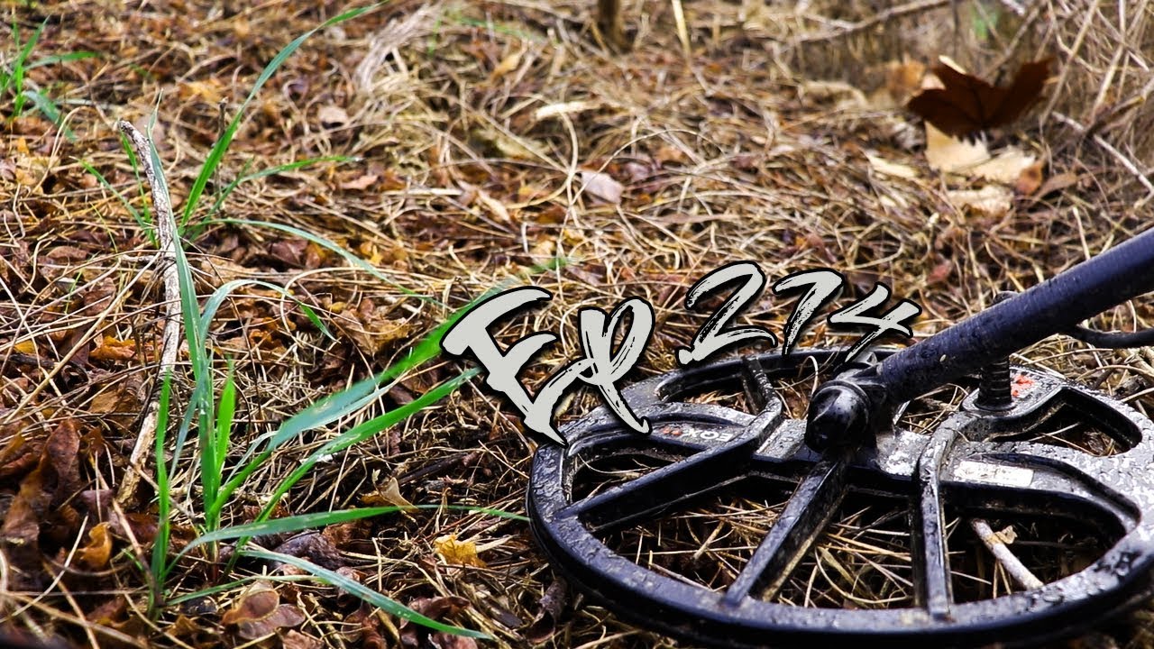 Minelab Equinox - I tried to Science