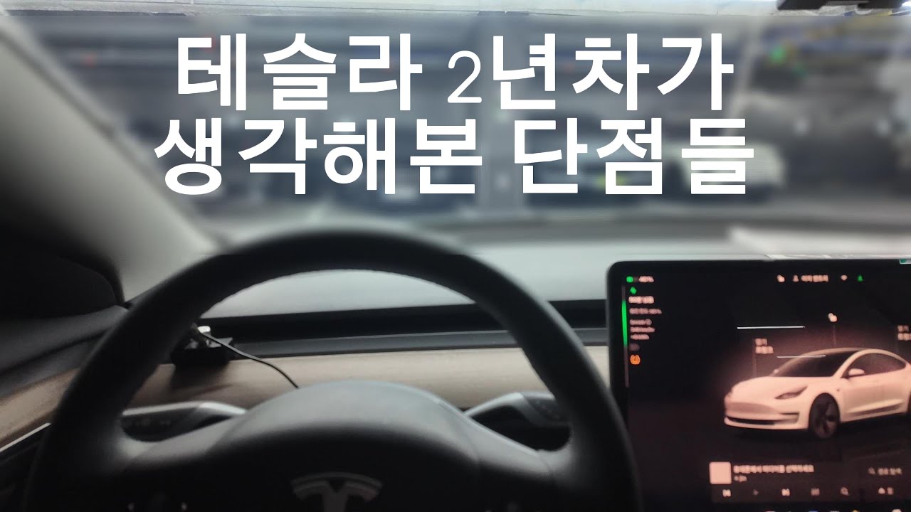 테슬라 단점 14가지 끝판왕(2년차 차주가 말하는🚘)