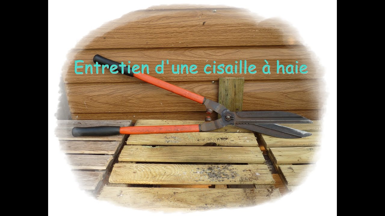 Entretien d'une cisaille à haie BAHCO - Monjardindansleslandes