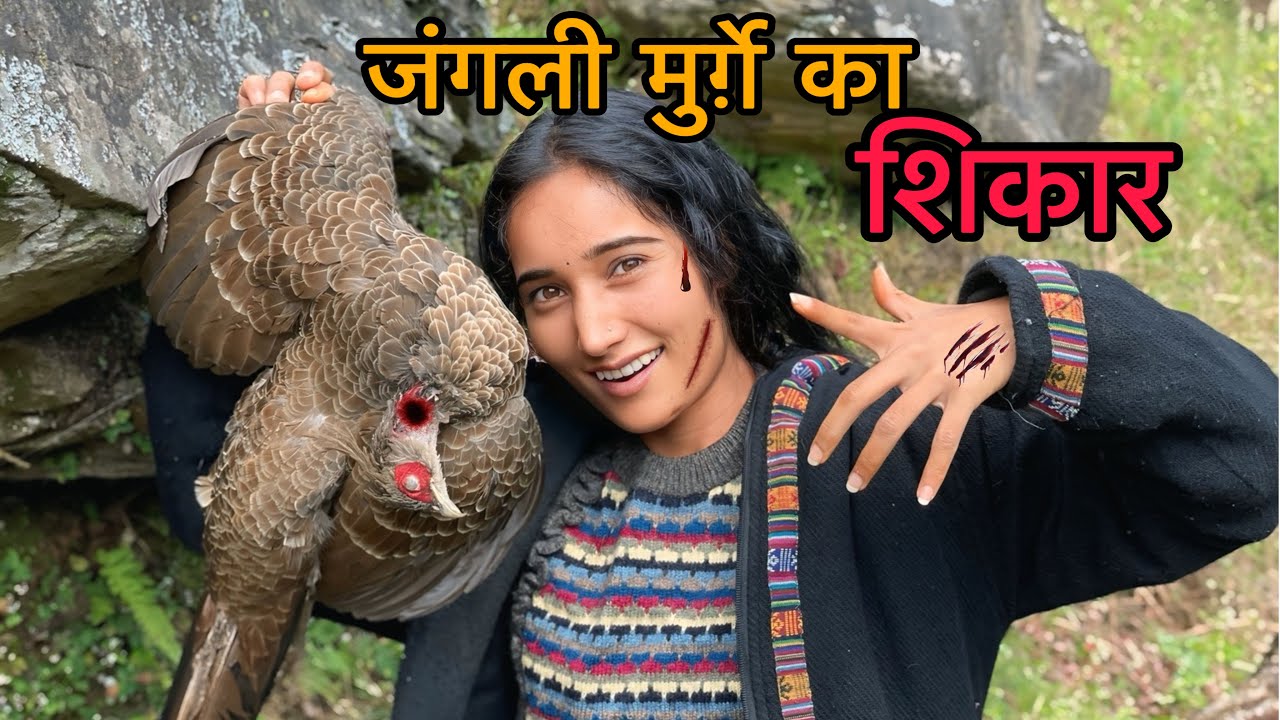 जंगली मुर्ग़े का शिकार किया आज मैंने ।।