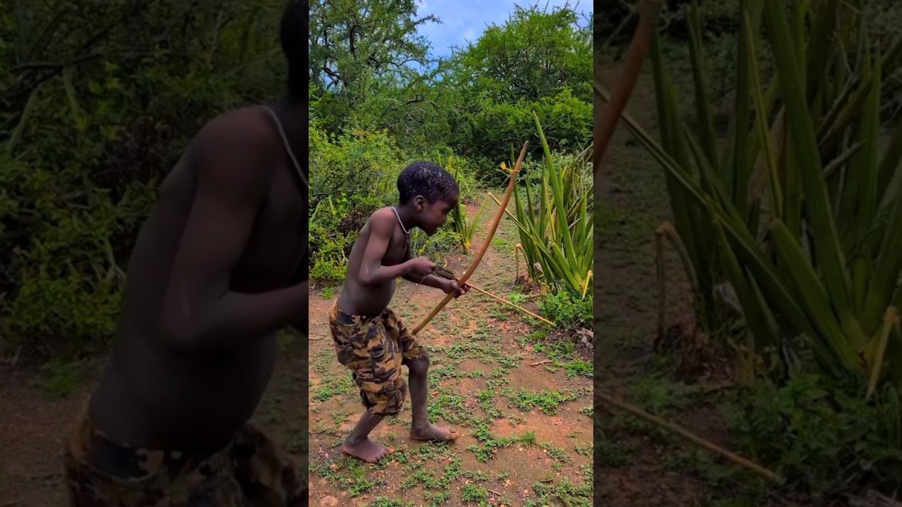 Precision and Focus: The Young Archer #wildlife #shorts