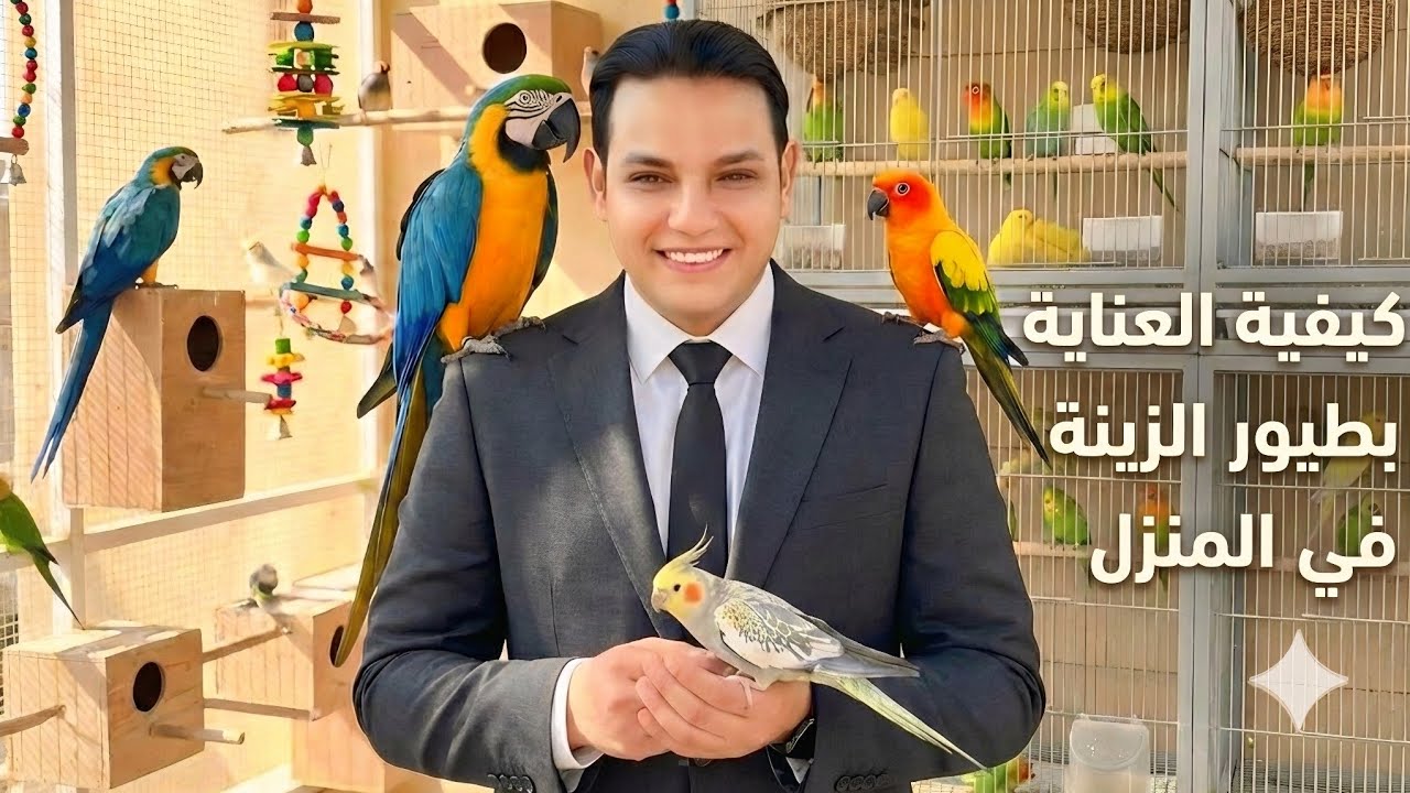 كيفية العناية بطيور الزينة فى المنزل / برنامج نهار جديد @محمد المشد #budgies 