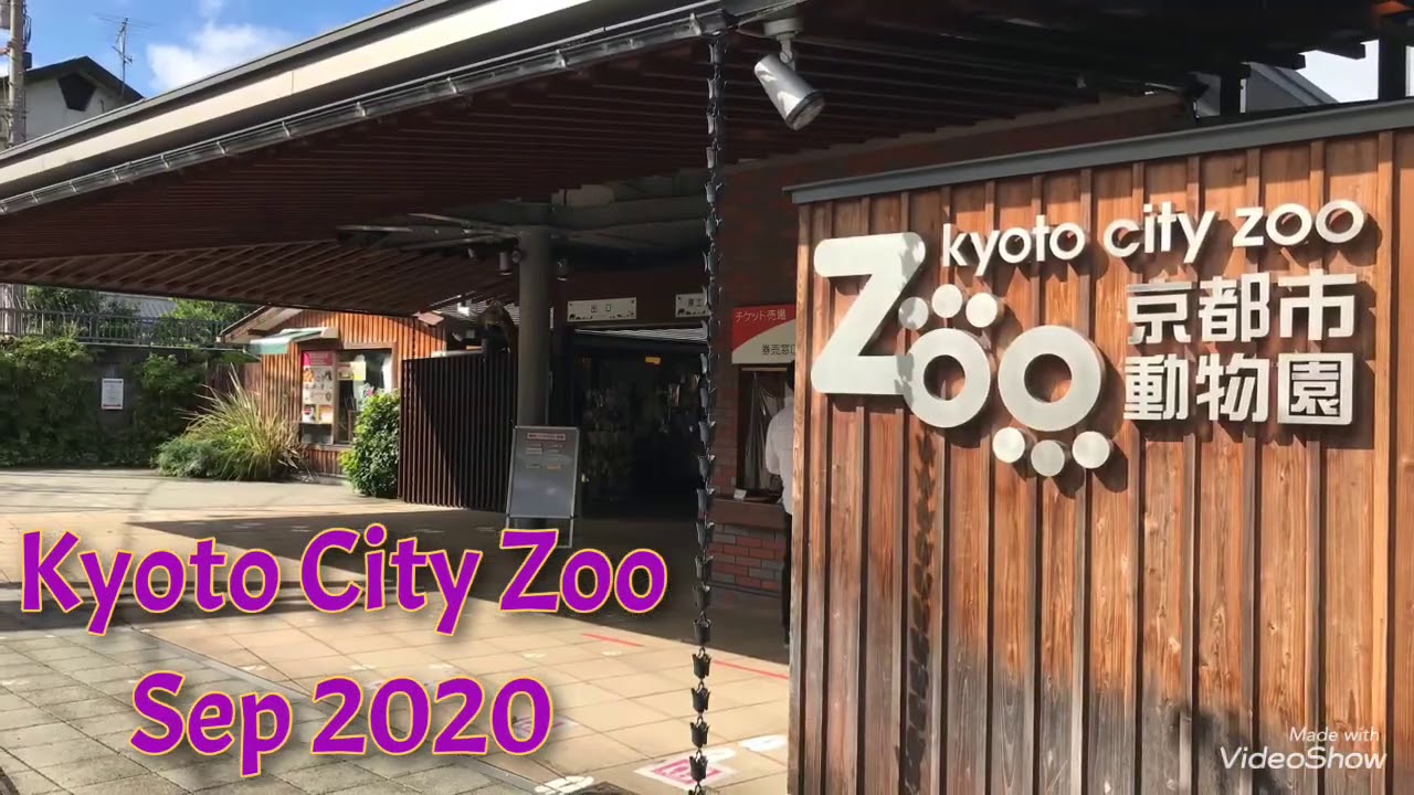 Kyoto City Zoo, vườn th&uacute; Kyoto, Sep 2020