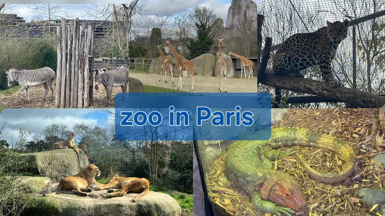 Zoo in Paris
