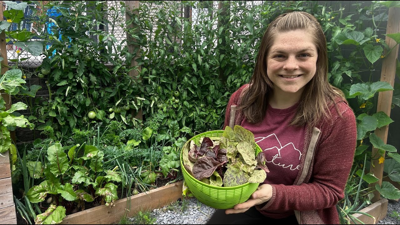 How Interplanting and Succession Planting Gave Me More Harvest