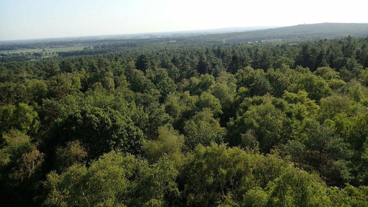 Prachtig mooi uitzicht vanaf de Hulzenberg in het Bergherbos, Gelderland