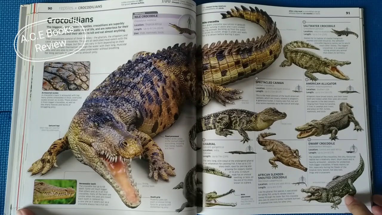 DK Knowledge Encyclopedia Animal