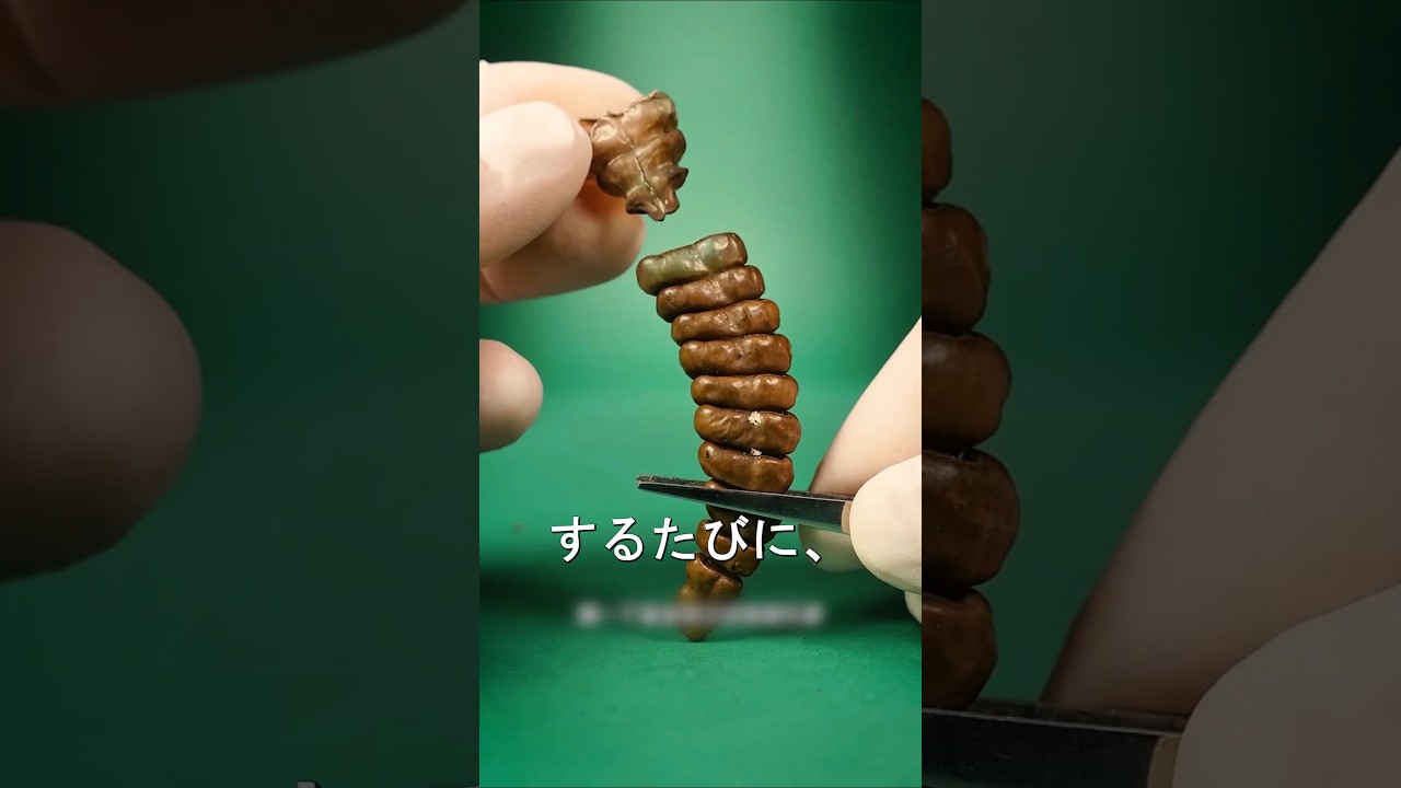 このヘビの尻尾が音を出す、信じられない方法