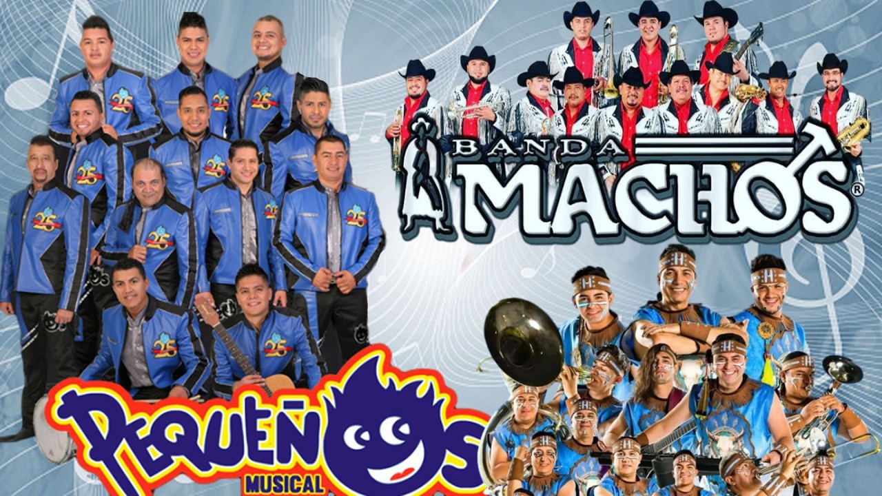 💘Banda Machos, Cuisillos, Pequeños Musical, Maguey 💃 Bandas Viejitas Pero Bonitas Mix