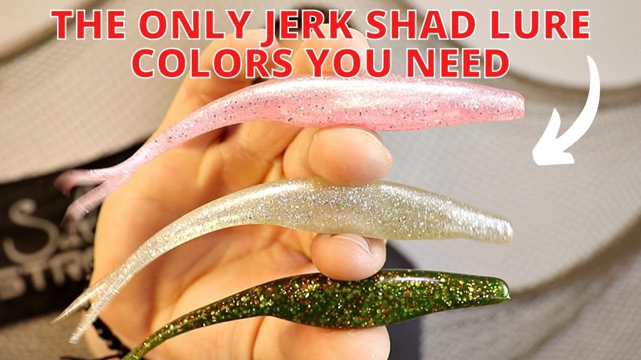 Top 3 Jerk Shad Lure Colors For Inshore Fishing