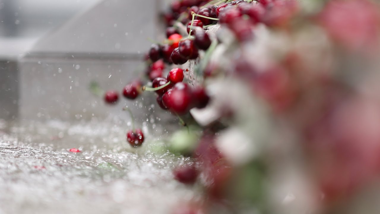 Food Sorting and Packaging with AI - Sacramento California Video Production Agency