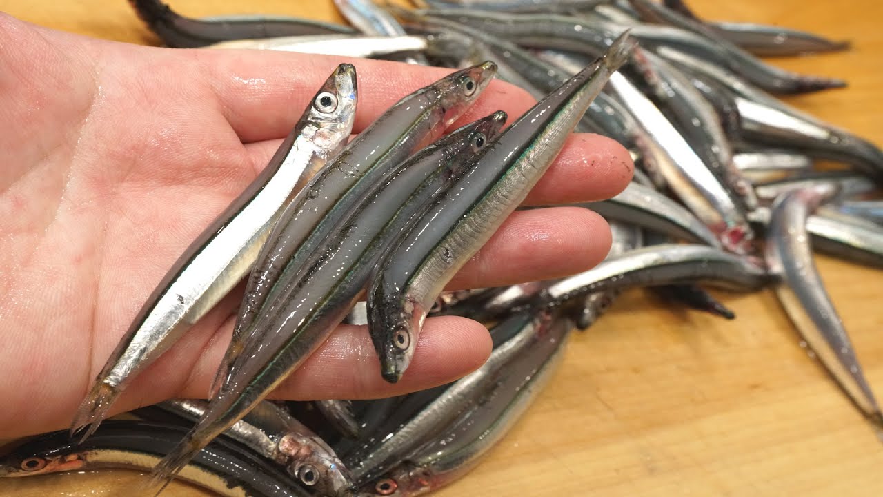 キビナゴの唐揚げの作り方