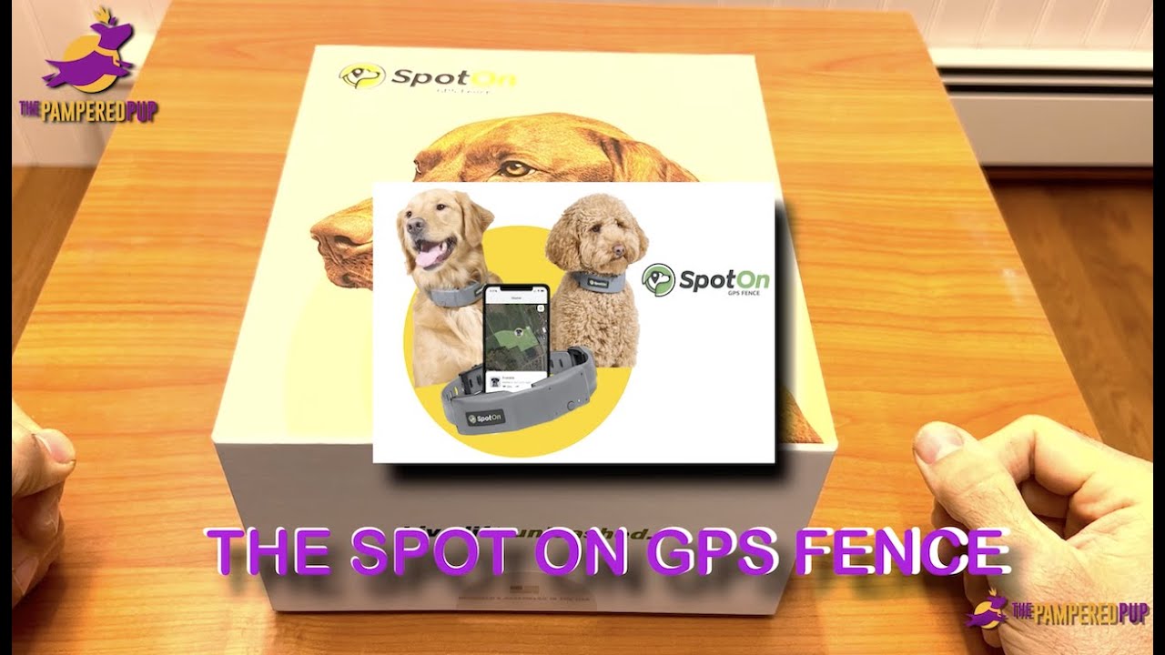 SpotOn GPS Dog Fence Unboxing