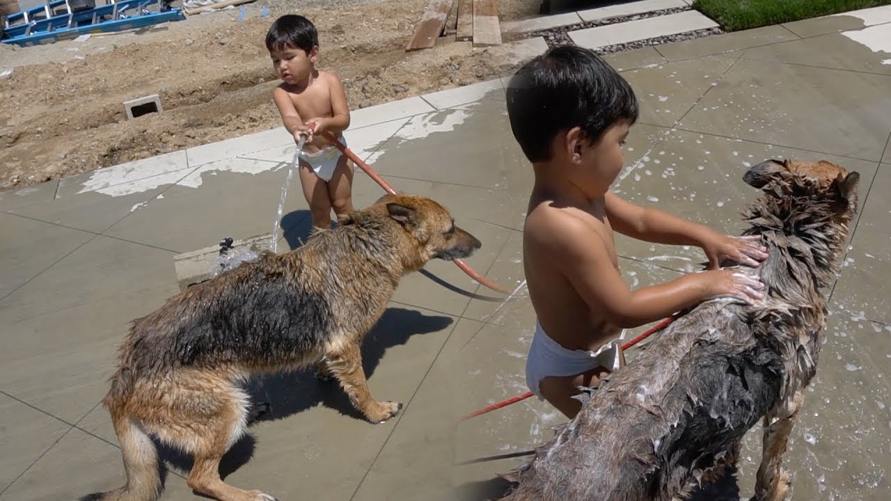 Toddler Washes Our German Shepherd!