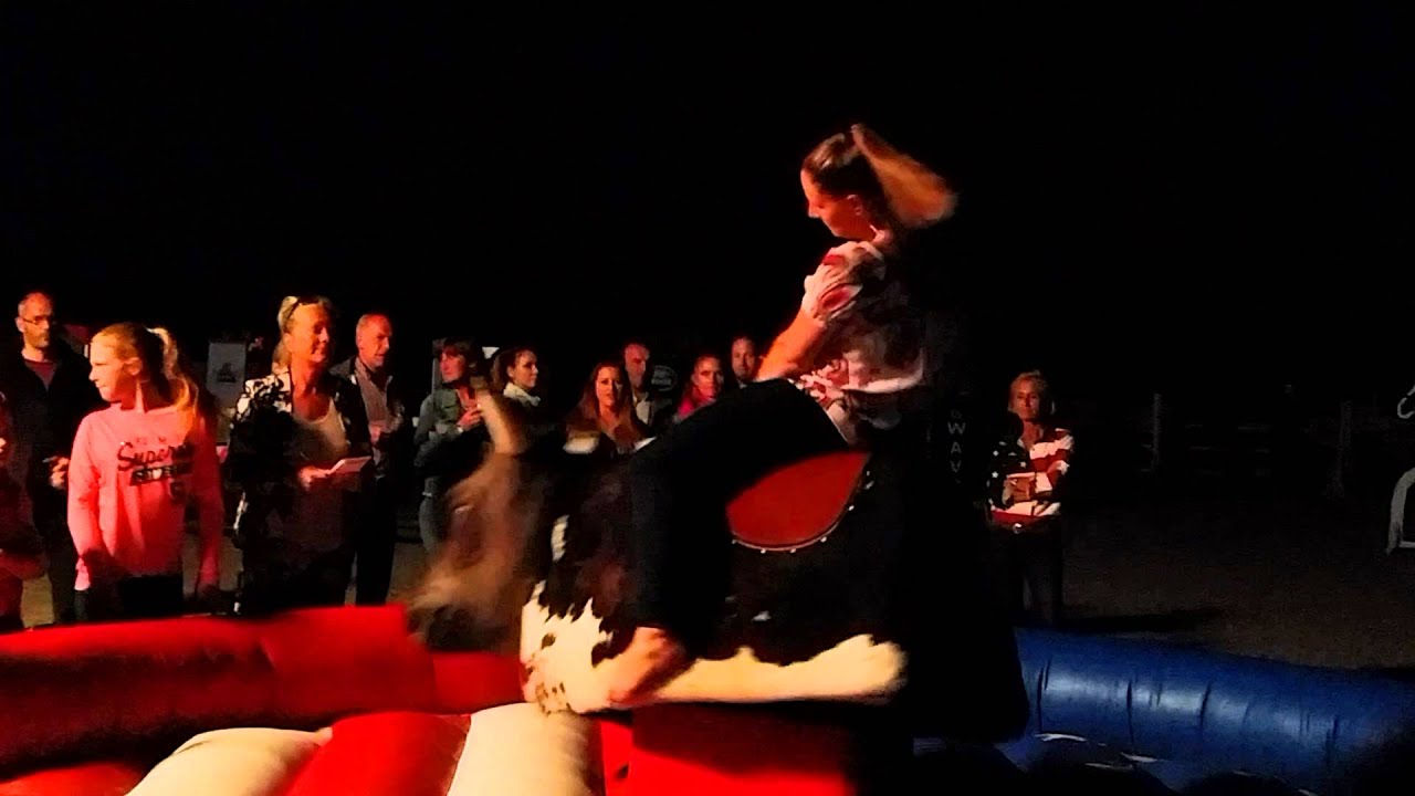 Mcj's rodeostier op de manege