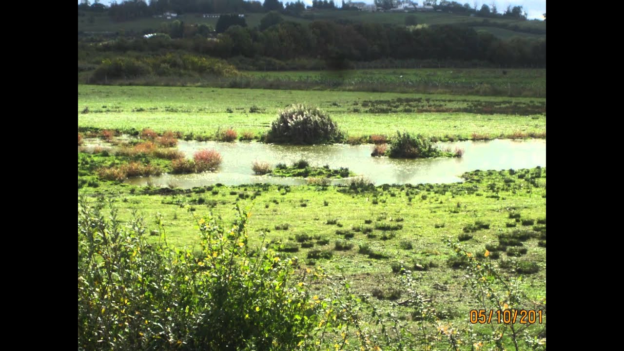 Lee Valley Park