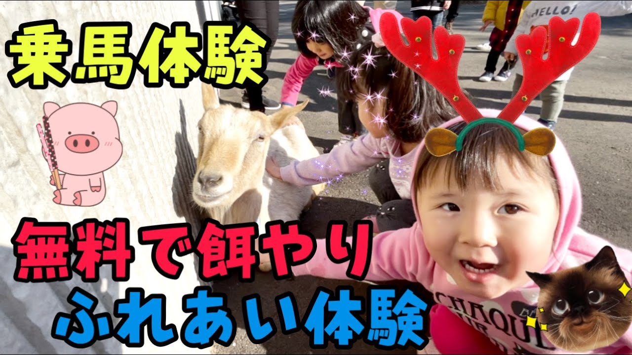 板橋こども動物園〜リニューアルオープン〜