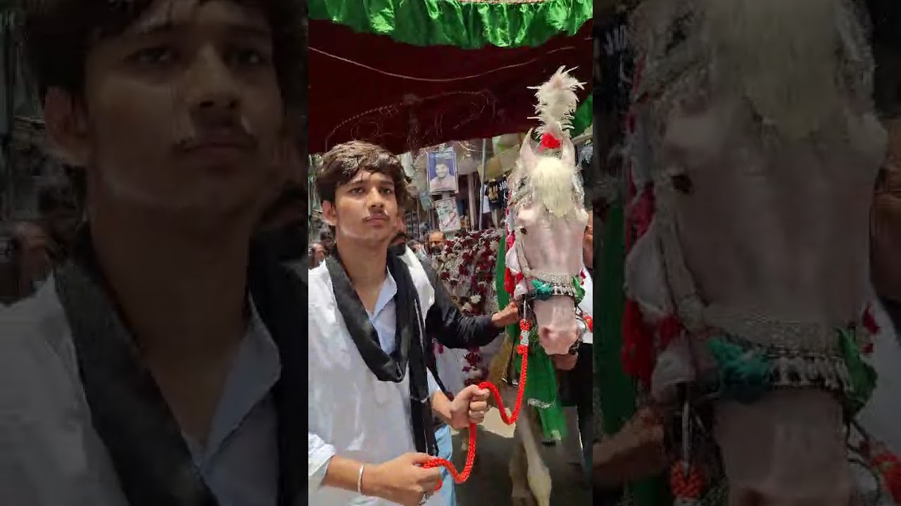 6 Muharram Juloos||Amroha Zuljanah||Amroha Azadari live||Amroha Muharram||Hussaini Baja Amroha||2025