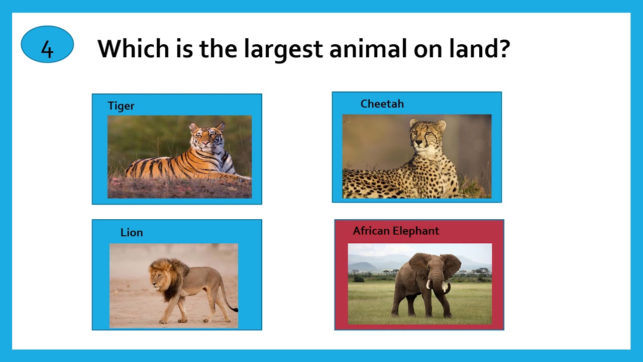 QUIZ FOR KIDS || PART 2 || QUIZ ON ANIMALS || KIDS GK ON ANIMALS || GENERAL KNOWLEDGE FOR CHILDREN