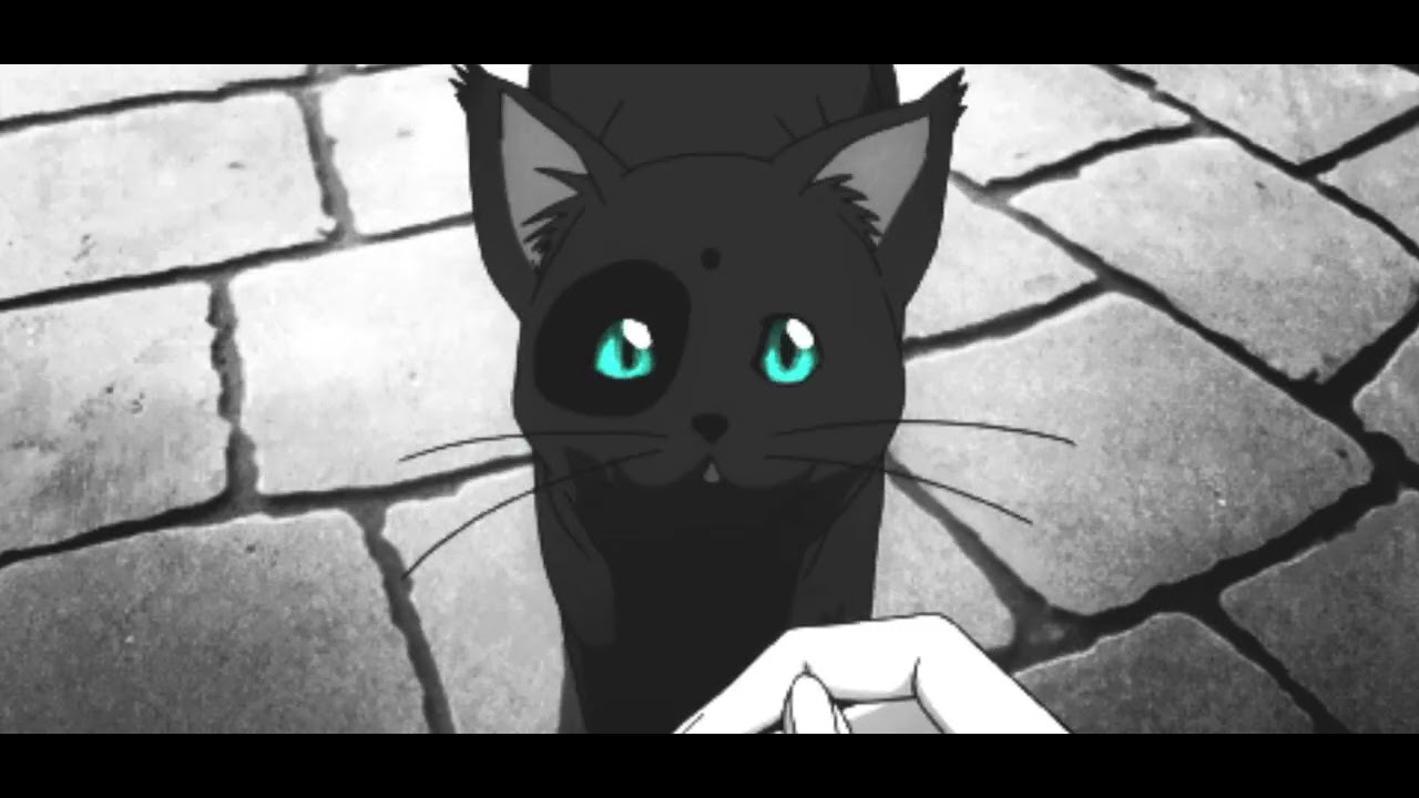 lucy bedroque - cat's eye (slowed + reverb)