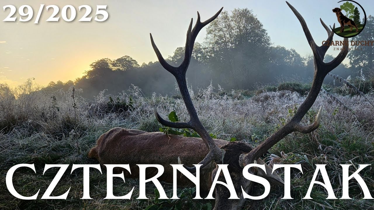 Kapitalny Byk i Hubertus we Włoszczowie. Jagd Deer deerhunting hunt. CZARNE DUCHY ZNAD WISŁY 29/2025